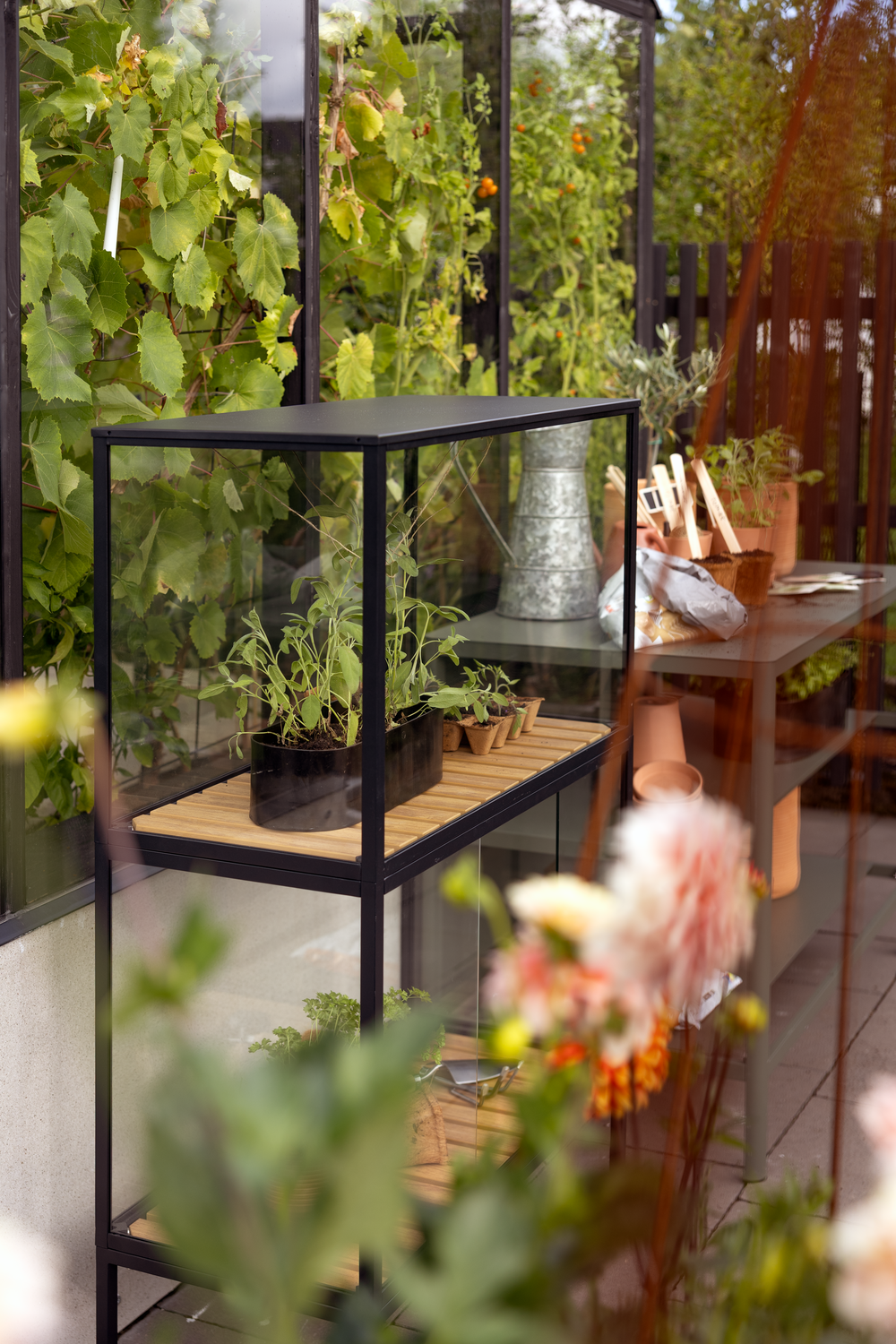 Grower Greens Pflanzenschrank Schwarz