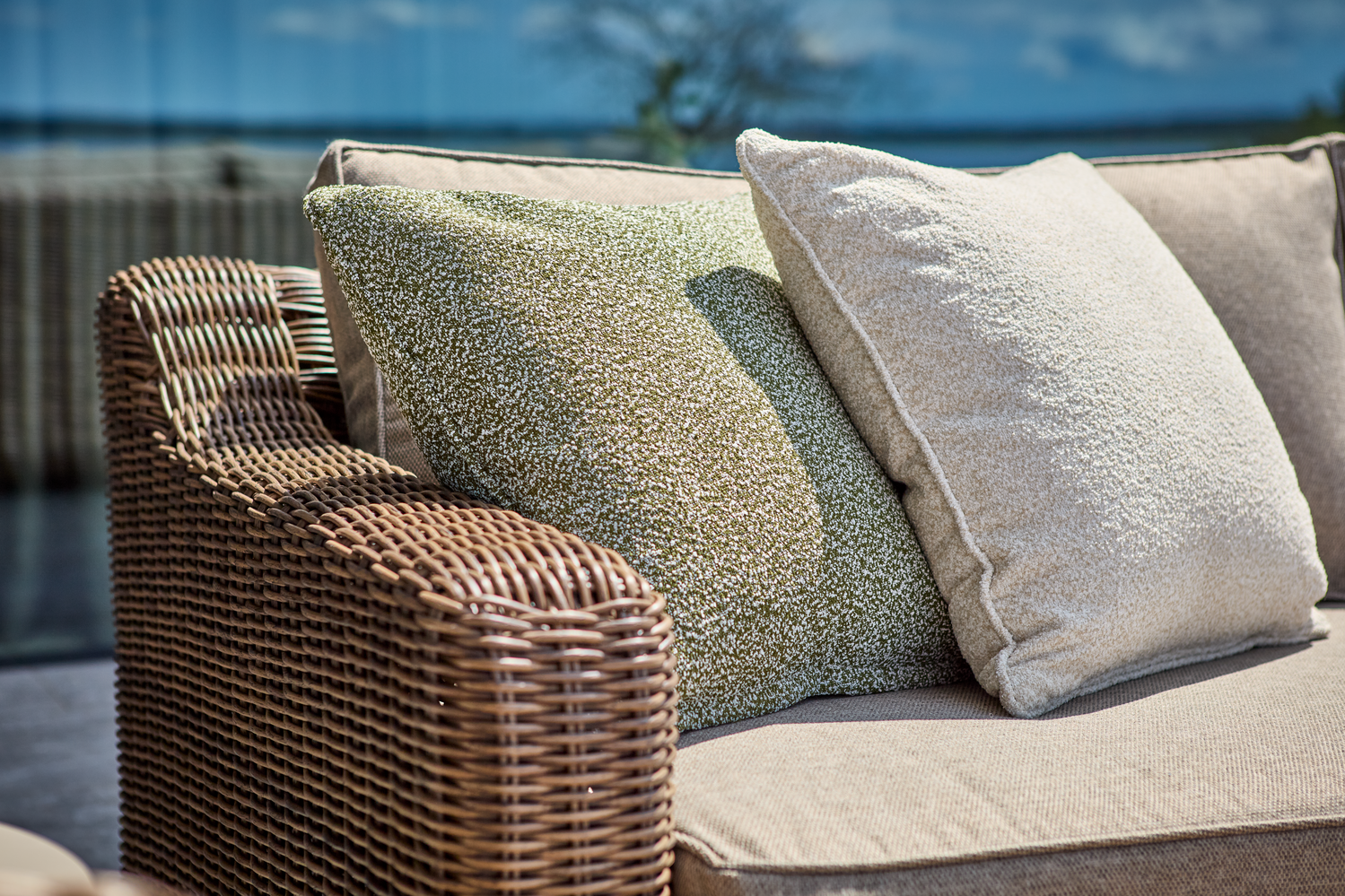 Teddy Kissen Teddy Rice