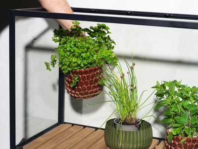 Grower Greens Pflanzenschrank Schwarz