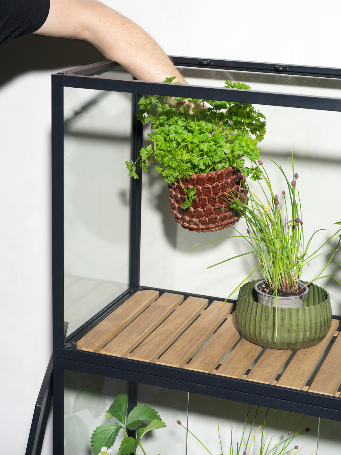 Grower Greens Pflanzenschrank Schwarz