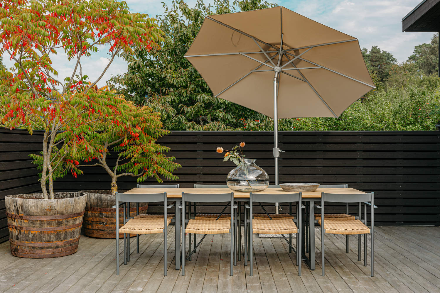 DK Diningstuhl Antrazit/Natur