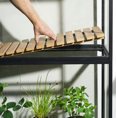 Grower Greens Pflanzenschrank Schwarz